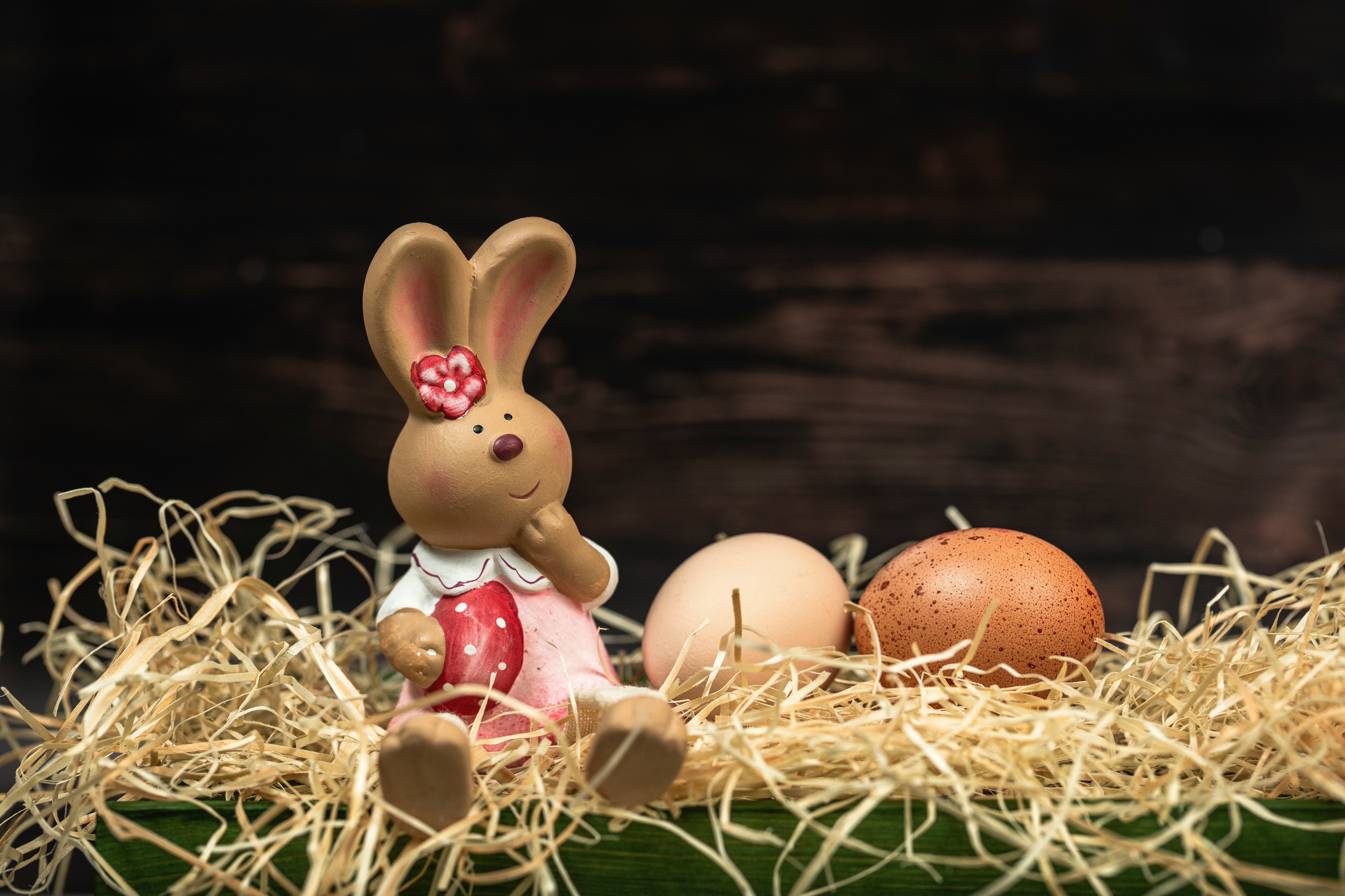 white and brown eggs on nest